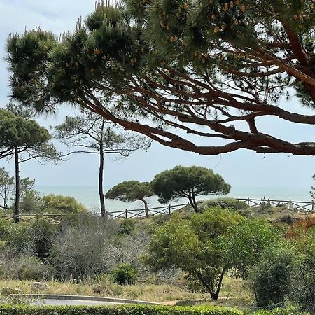 Praia Da Falesia Alfa Mar Albufeira Ольюш-ди-Агуа  Экстерьер фото