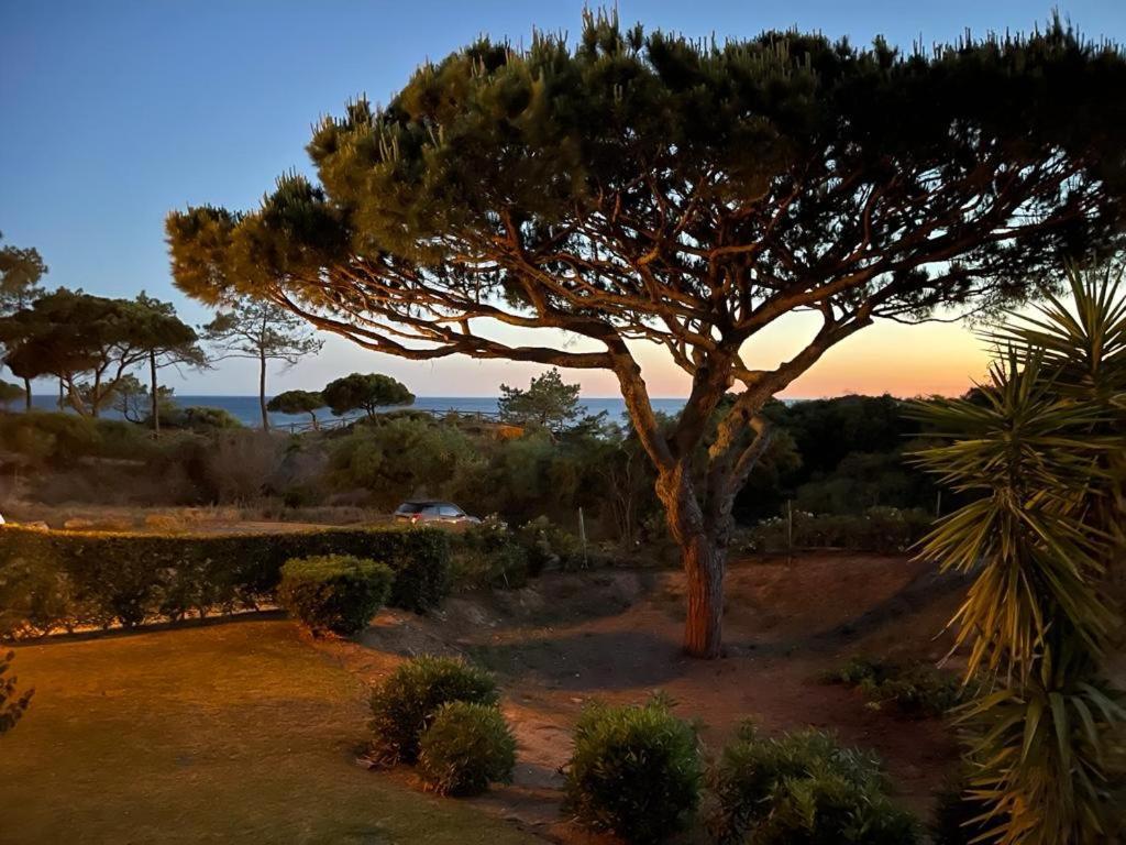 Praia Da Falesia Alfa Mar Albufeira Ольюш-ди-Агуа  Экстерьер фото