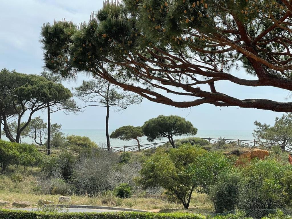 Praia Da Falesia Alfa Mar Albufeira Ольюш-ди-Агуа  Экстерьер фото