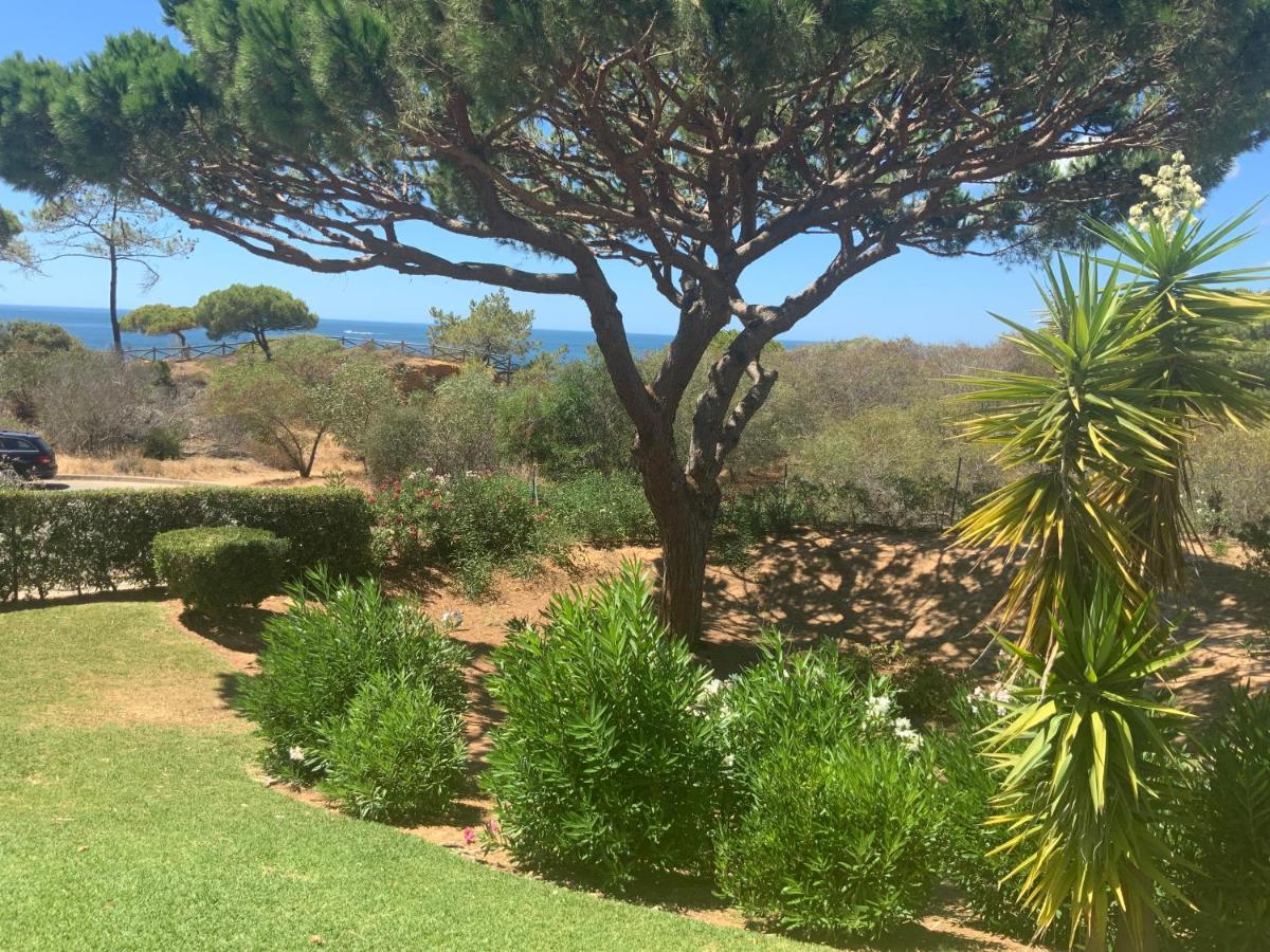 Praia Da Falesia Alfa Mar Albufeira Ольюш-ди-Агуа  Экстерьер фото